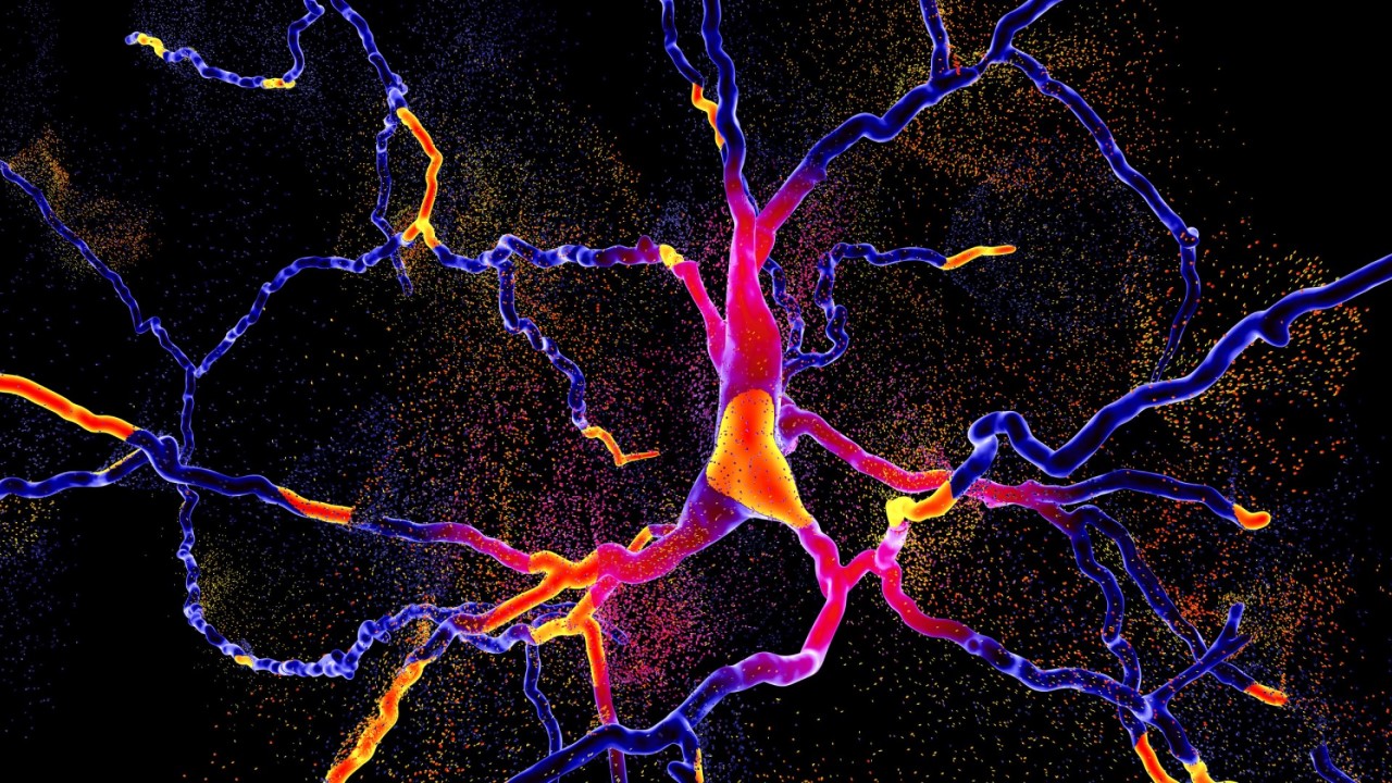 Comprendere i disturbi neurologici