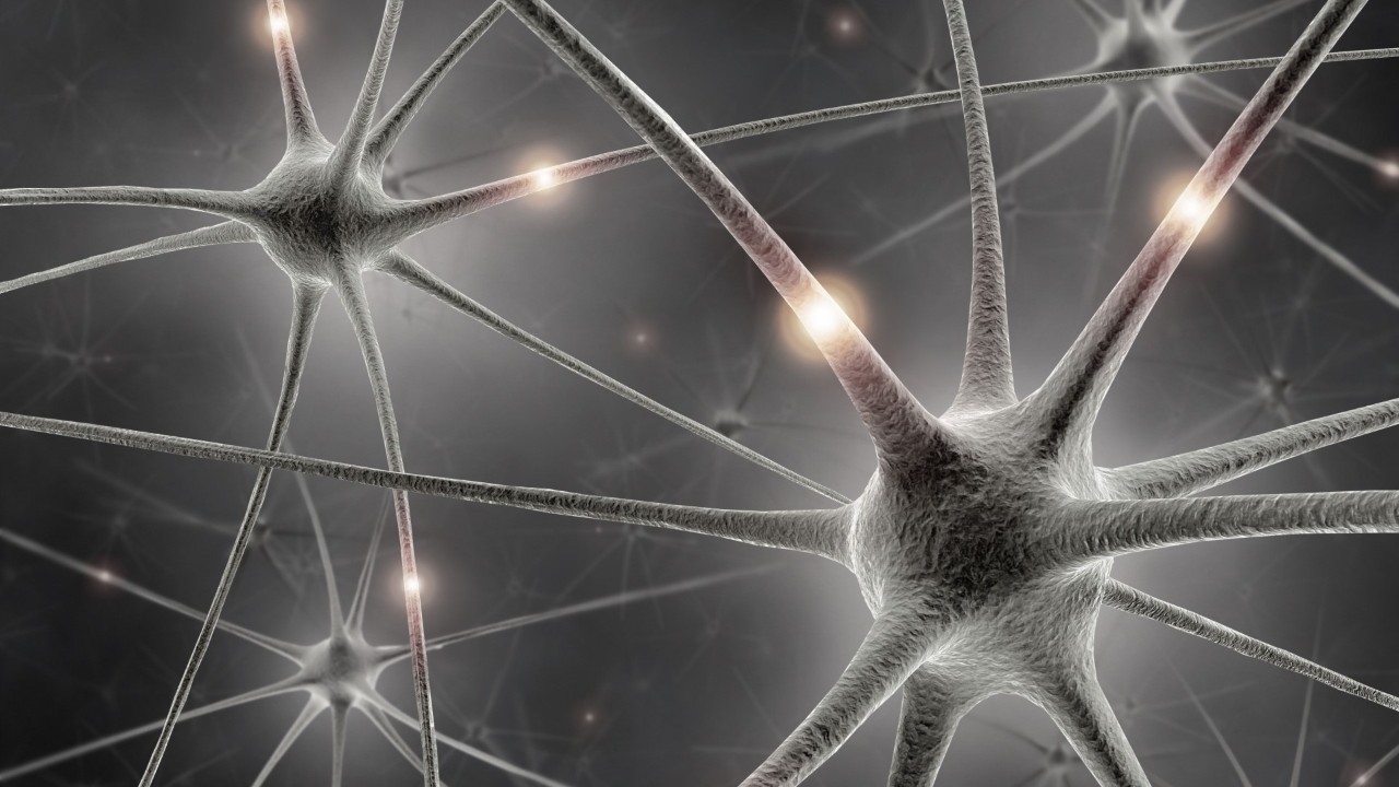 Il cervello umano e la salute