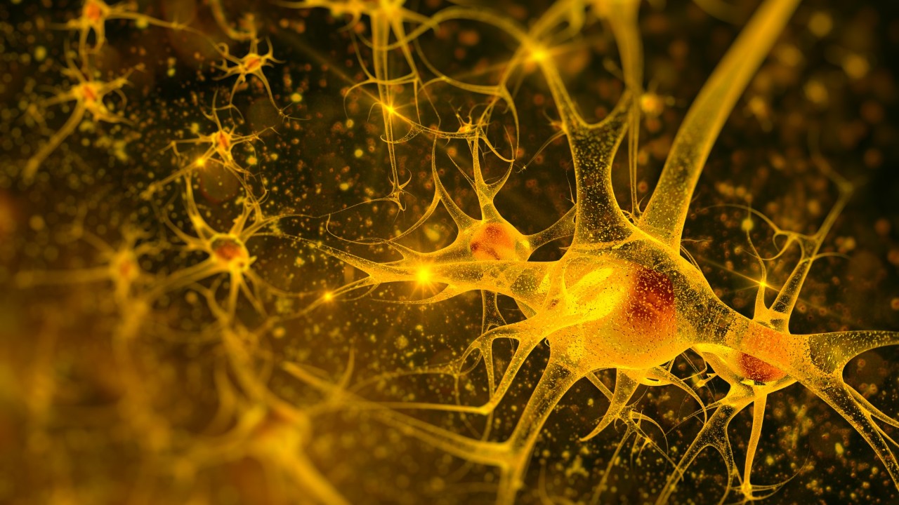Vivere con disturbo psichiatrico o neurologico